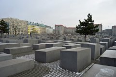 dsc_0480.jpg