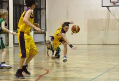 dsc_0158.jpg