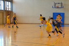 20150131155522dsc_8803.jpg